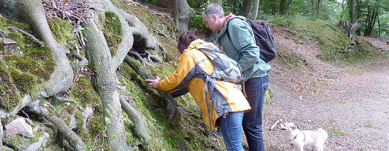 Rundwanderweg Bahnhof Schaberg - Klingenpfad - Aussichtstempel Muckemau